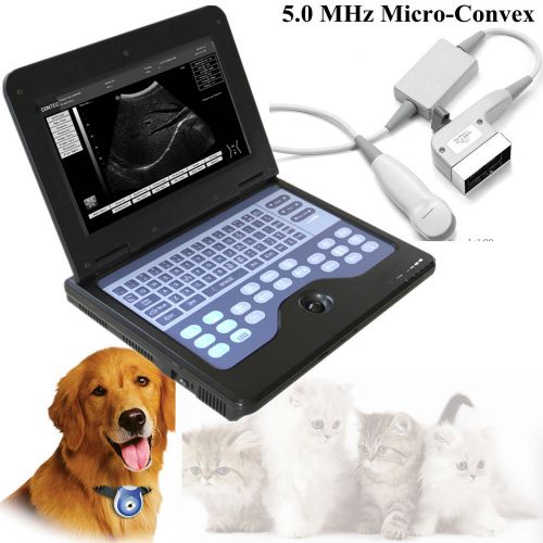 Special Offer Vet UsingDigital Ultrasound scanner Laptop with Micro Convex probe