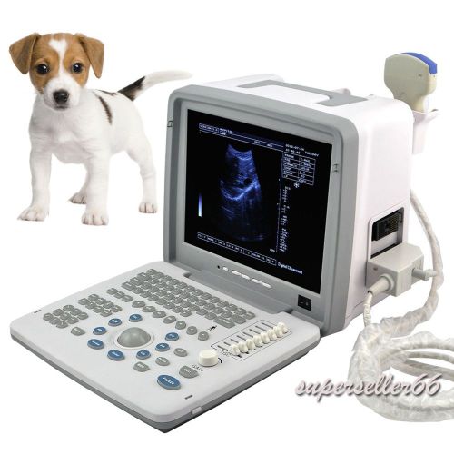 12-inch Portable Digital Ultrasound Scanner Machine 3.5MHz Convex 3D Veterinary
