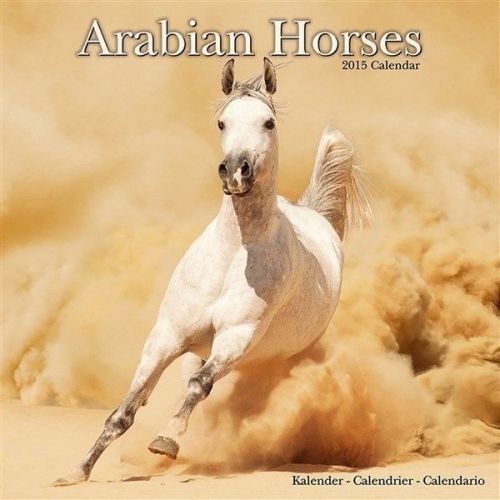 NEW 2015 Arabian Horses Wall Calendar by Avonside- Free Priority Shipping!
