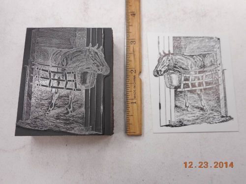 Letterpress Printing Printers Block, Horse looks out from Stall