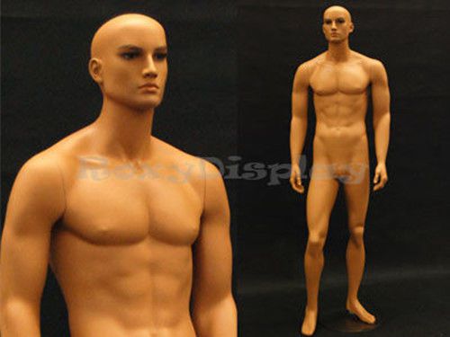 Tan skin young male mannequin Dress From Display #MD-HAM25