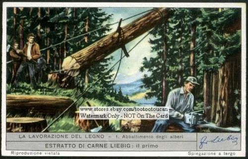 Old Time Loggers Cutting Timber 50 Y/O Card