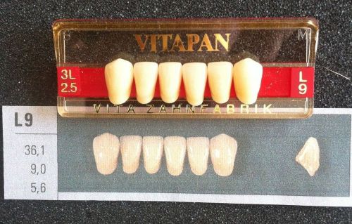 Vitapan Denture Teeth  L9    3L2.5