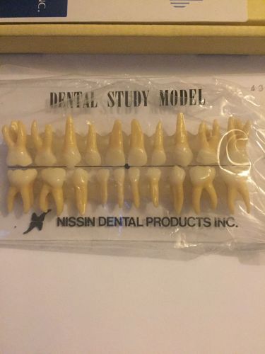 NISSIN Dental Study Model Primary Dentition