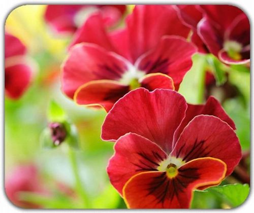 New Bloom Little Red Fresh Flowers Lovely Cute Mouse Pad Mats Mousepad Hot Gift