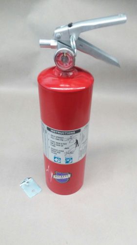 BUCKEYE Fire Extinguisher 9 LBS Class 10B:C Model 5HI-SA-PK-G