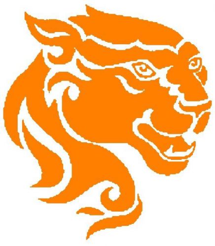 30 Custom Orange Panther Personalized Address Labels