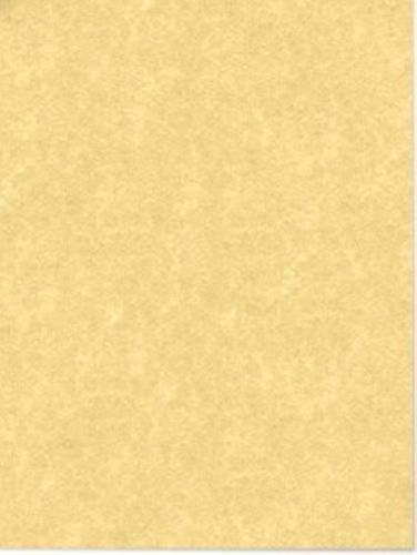 M00170 MOREZMORE 25 Heavy Thick Parchment Paper RELIC GOLD Cardstock Card Stock