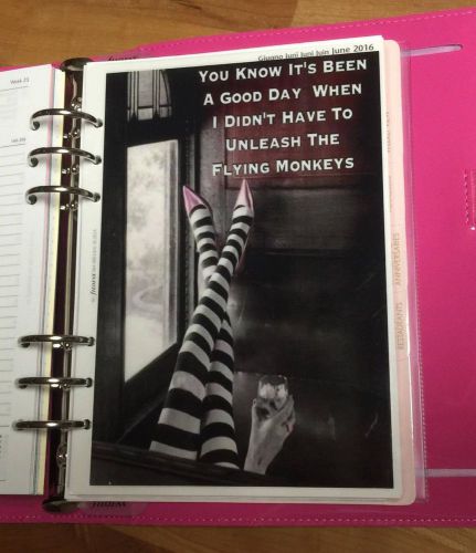 Flying Monkeys Dashboard made for use with Filofax A5 Planner