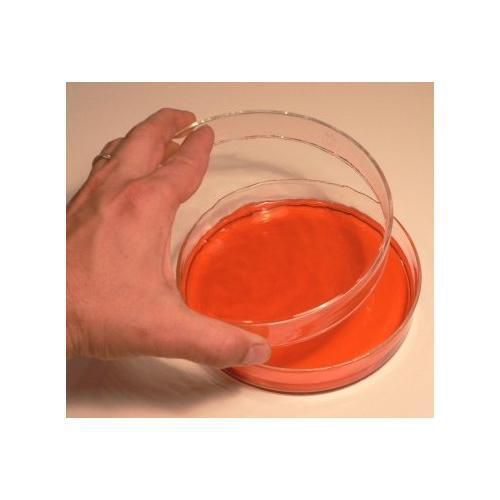 SEOH Petri Dishes Glass w/lid 150mm New
