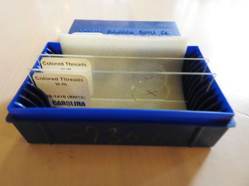 Colored threads microscope slides - 2 slides for sale