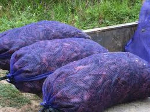 Leno mesh crawfish bag 18&#034; x 30&#034; - 100 per pack for sale