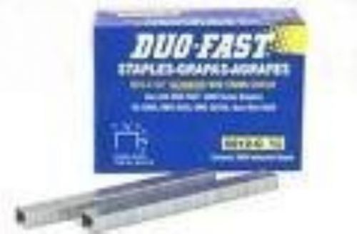 Duo Fast 5012C 20 Gauge Galvanized Staple 1/2-Inch Crown x 3/8-Inch Length, 5000