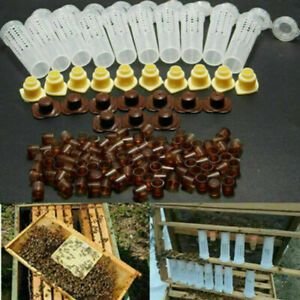 Bee Queen Rearing Cupkit Complete Box System Beekeeping Cup Kit/Set Cage E5P4