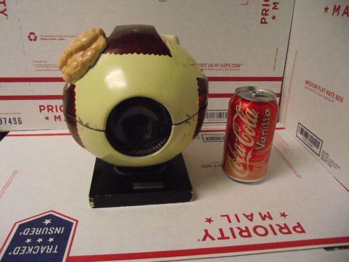 VINTAGE WELCH SCIENTIFIC LARGE EYE MODEL FROM OLD SCHOOL DOCTORS OFFICE MAN CAVE