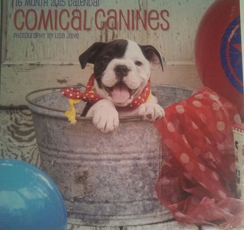 2015 16 Month COMICAL CANINES 12x12 Wall Calendar NEW Dogs Puppies Bulldogs