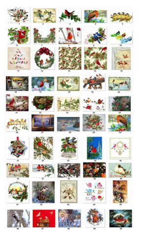 30 Personalized Return Address Christmas Birds Labels (cs1)