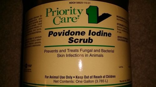 Povidone iodine surgical scrub betadine calf foal pig germicidal cleanser (gal) for sale