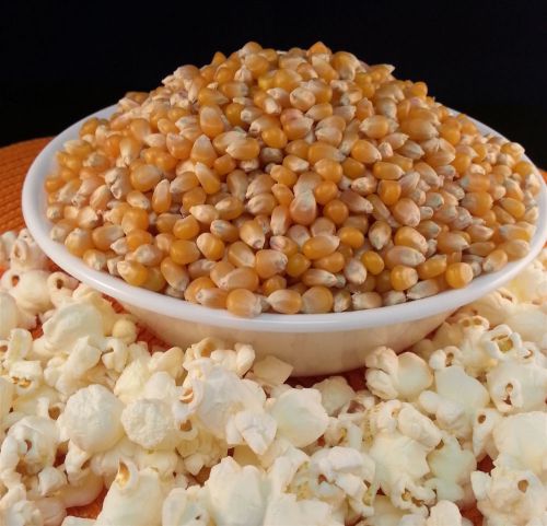 YELLOW POPCORN^NATURALLY PROCESSED^FREE &amp; SPEEDY DELIVERY!!! - 20LBS (360oz)