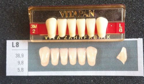 Vitapan Denture Teeth  L8    3M2