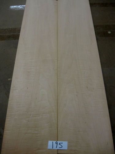 Exotic Wood Veneer - Figured Maple Veneer #195