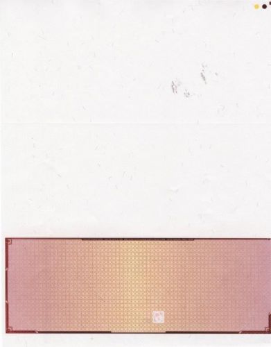 Bottom Blank High Security Checks with visible fibers 500 sheets - Maroon