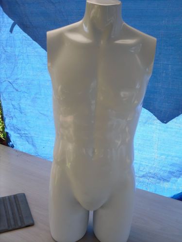 male mannequin torso 35&#034;inches tall