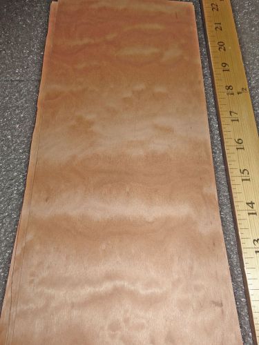 Sapele Pommele Quilted wood veneer 5&#034; x 12&#034; raw with no backing &#034;A&#034; grade 1/42&#034;