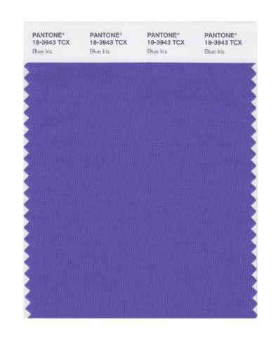 Pantone PANTONE SMART 18-3943X Color Swatch Card, Blue Iris