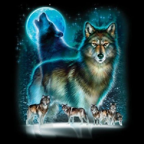 Moon wolf silhouette heat press transfer for t shirt tote sweatshirt quilt  221b for sale