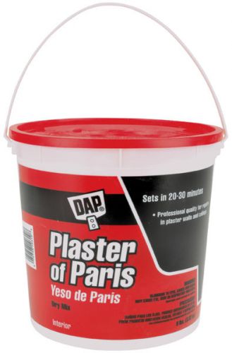 Plaster Of Paris 8lb Tub-White