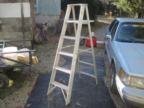 &#034;metallic&#034; 6 &#039; step ladder randoph,ny for sale