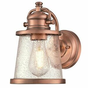 Westinghouse Lighting 6361000 Emma Jane One-Light Washed Copper Finish with C...