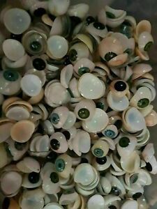 100 PIECE ARTIFICIAL EYES MIXED COLORS ALL SIZES EXPEDITE SHIPPING