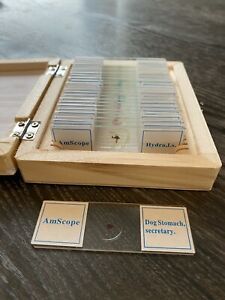 AmScope 25 Prepared Microscope Slides Glass with Wooden Box FREE SHIPPING