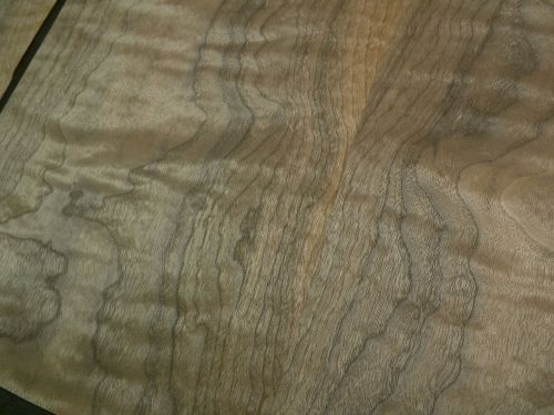 Curly Walnut wood veneer       8 sh @   10&#034; x 27&#034;                 4494-17