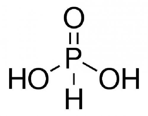 Phosphorous acid, Phosphonic acid, 99% 100g