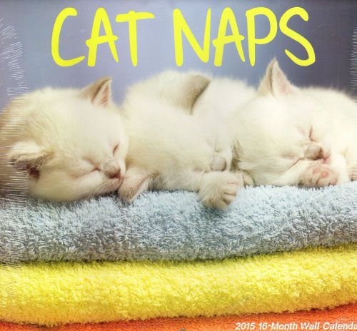 Cat Naps - 2015 16 Month  WALL CALENDAR - 12x11