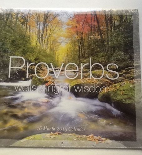 PROVERBS from the BIBLE Wellspring of Wisdom 2015 Wall Calendar Color Photos NEW
