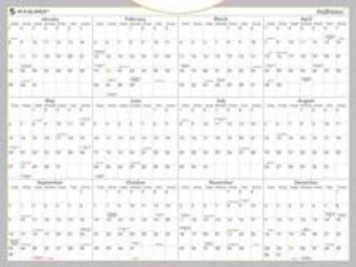 WallMates Self-Adhesive Dry Erase Yearly Calendar 24&#039;&#039; x 18&#039;&#039;