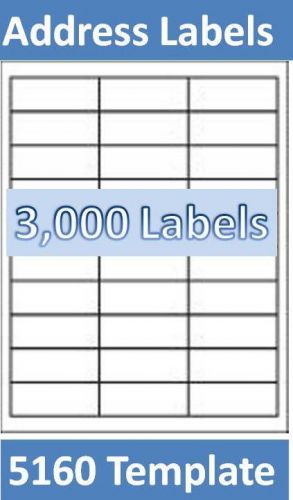 3000 Laser/Ink Jet Labels 30up Address Compatible with Avery 5160. 100 Sheets
