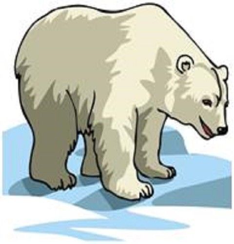 30 Custom Polar Bear Personalized Address Labels