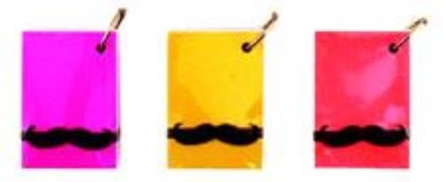 Mr. Mustache Study Cards 2-1/4&#039;&#039; x 3-1/4&#039;&#039; Ruled Assorted Covers 75 Cards