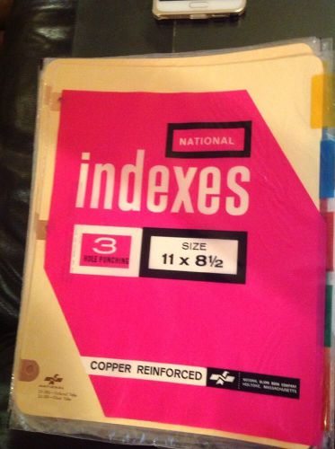A lot of 17 national indexes size 3 Hole Punched 8 1/2&#034; x 11 COPPER REINFORCED