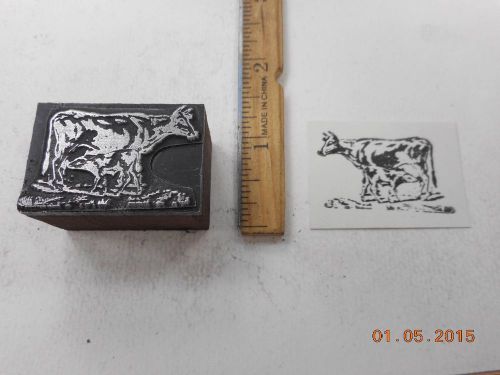 Letterpress Printing Printers Block, Farm Cow with Nursing Calf
