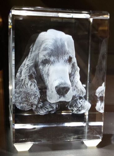 3D Laser photo engraving - Dog Picture (Medium Tower)
