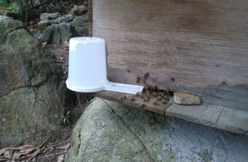 Beekeeping entrance feeder beekeeper equip drink water for sale