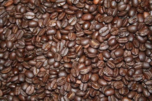 coffee toasted roast organic beans 1 kg