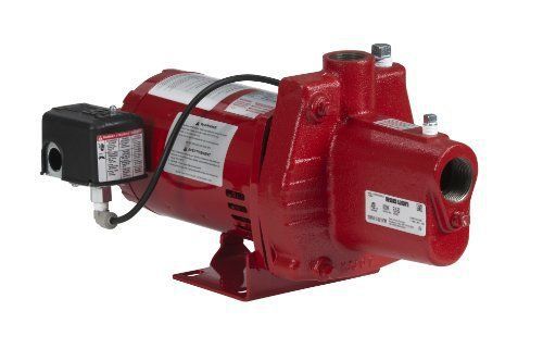 Red Lion RJS-75 3-4-HP 12-GPM Cast Iron Shallow Well Jet Pump