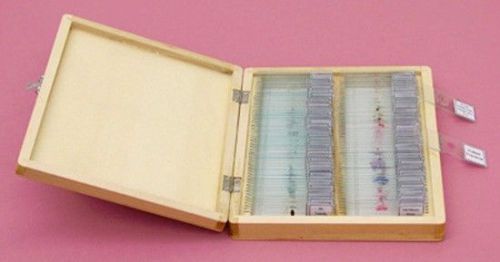 Deluxe prepared microscope slide king set of 100 slides in wooden storage box for sale